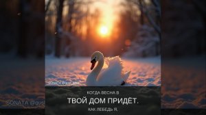"Я подарю цветы" стихи Германа Воронова