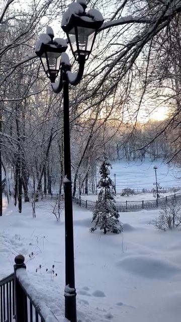 Зима в парке. 2026 г. 17