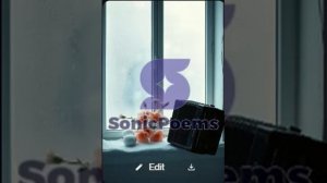 Сергей Есенин — Форма (Своё) (вар1)