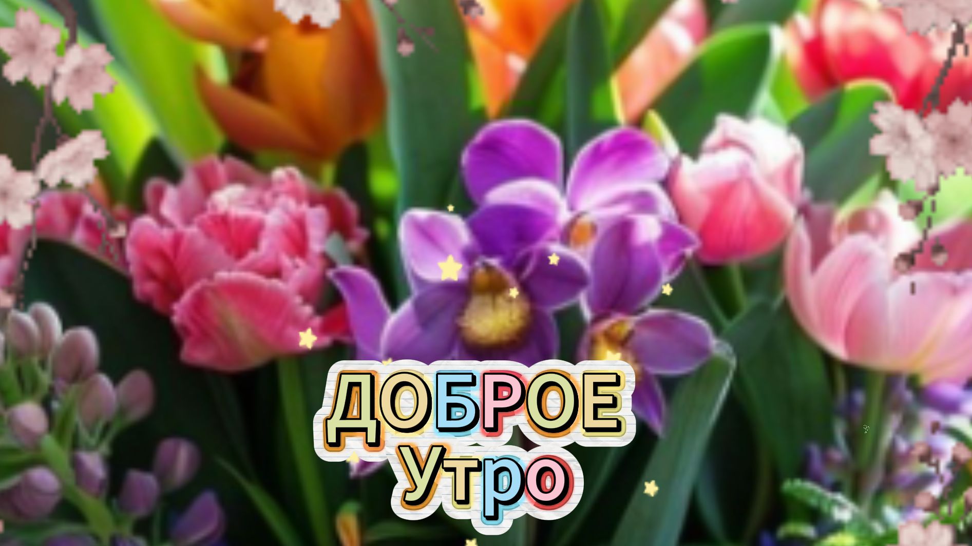 Открытки с добрым утром: музыкальное пожелание и хорошего дня | Домохозяйка