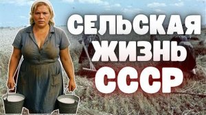 Жизнь в деревне СССР: труд, быт и сила, державшая страну