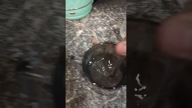 мой любимый напиток