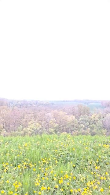 завораживает....