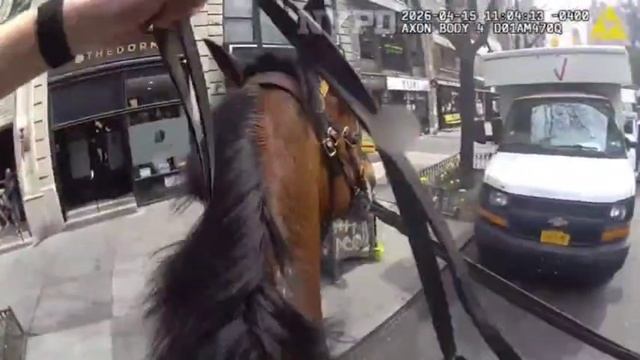 🔴 🇺🇸  Эпичная погоня офицера полиции Нью-Йорка за вором - карманником.🔴