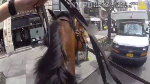 🔴 🇺🇸  Эпичная погоня офицера полиции Нью-Йорка за вором - карманником.🔴