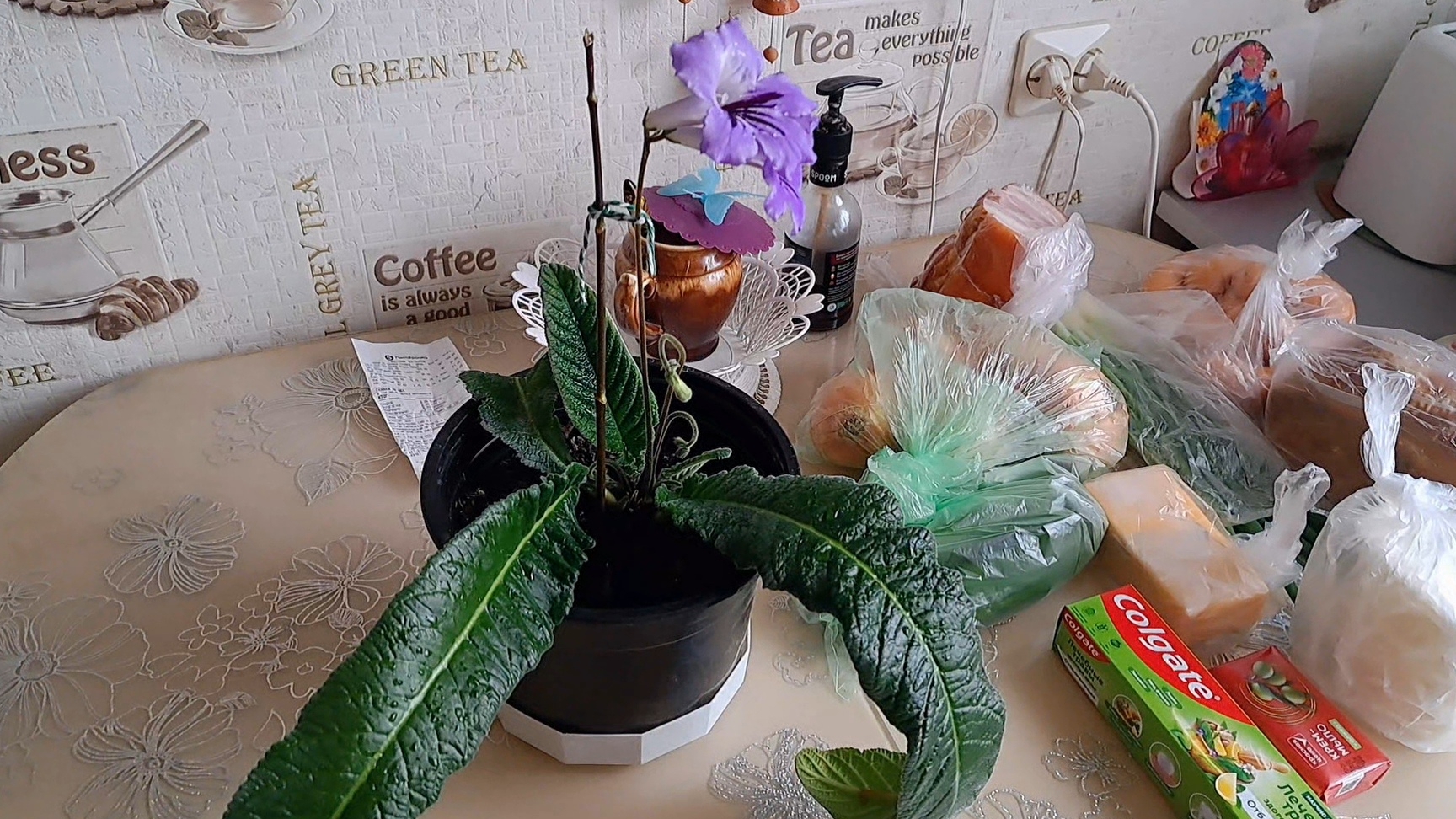 Иногда хочется все бросить🫢//Новый цветок в моем доме//НА ДАЧЕ//