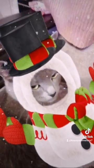 26 июля 2021 г.