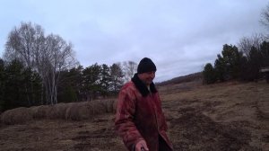 Ответ про сено как бизнес.