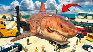 НАШЁЛ ОГРОМНОГО АЛЬФА МЕГАЛОДОНА в ГТА 5! САМАЯ БОЛЬШАЯ АКУЛА МЕГ В GTA 5 ОНЛАЙН