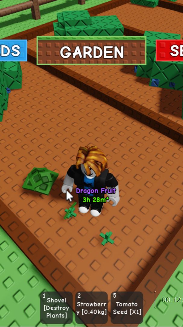 играю вырасти сад