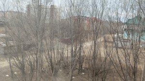 Завтрак. Каша рисовая. 🥣 о том, что смотрела