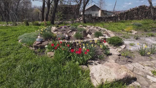 16,17 апреля 2026г. Все расцвело.А я продолжаю косить)