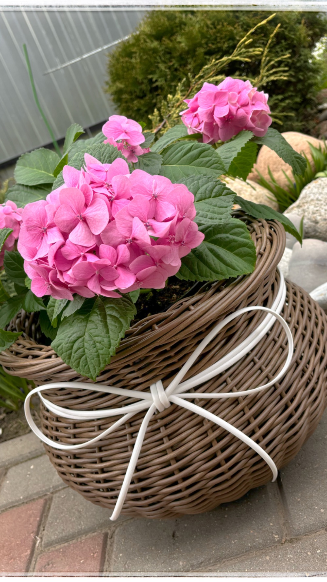 Кашпо Горшочек