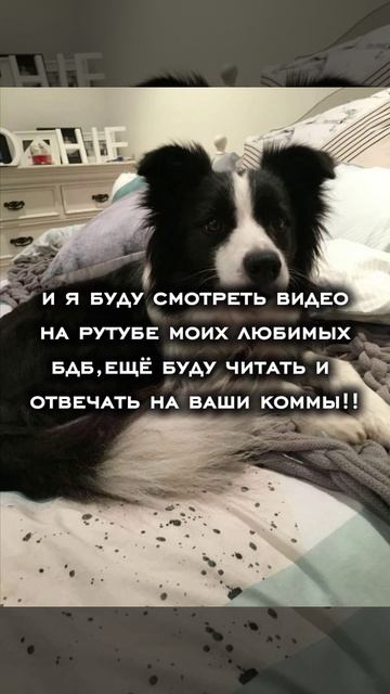 простите меня,это мое осознанное решение ...