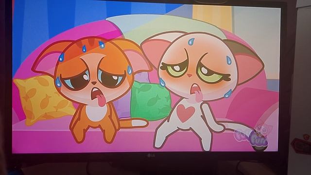 Purr Purr, Полэтолава. 2026.  22 Часть.