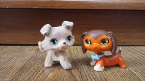 лпс популяр эпизод 6 ( русская озвучка ) видео от Nastya_Diy