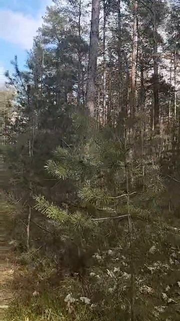 2 Эфир из Tik Tok 16.04.2026 г.