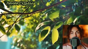 Кружево петли.