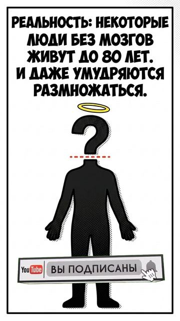 Что общего между тараканом и человеком?