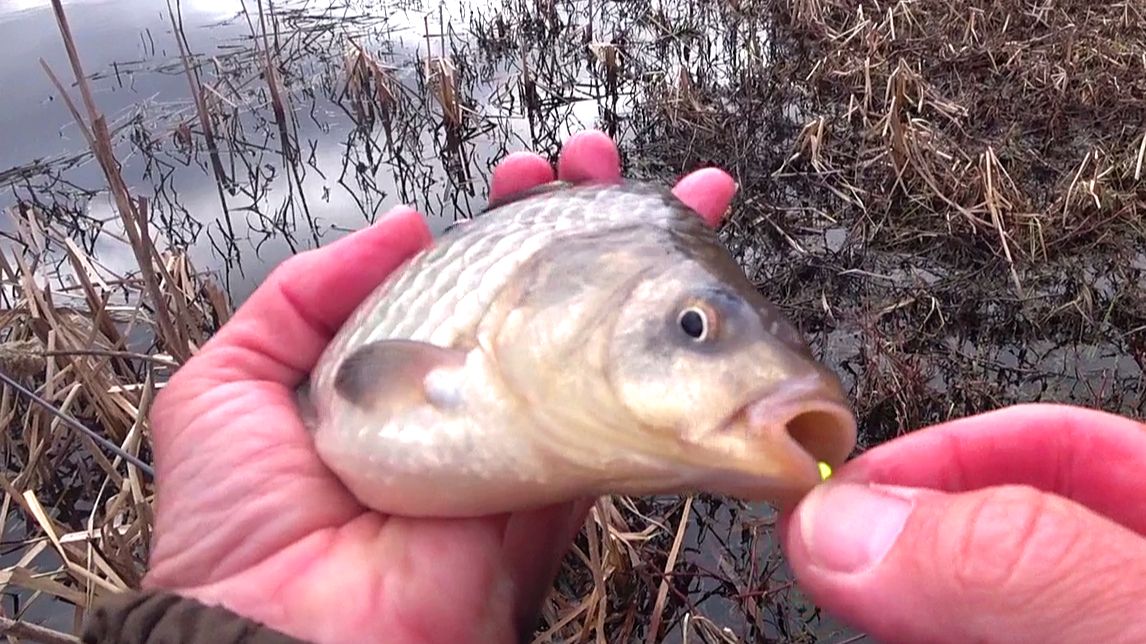 ДА ЭТО ЖЕ РЫБА!  Я думал здесь никто не живет. Рыбалка на новом водоёме.