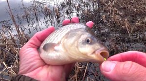 ДА ЭТО ЖЕ РЫБА!  Я думал здесь никто не живет. Рыбалка на новом водоёме.