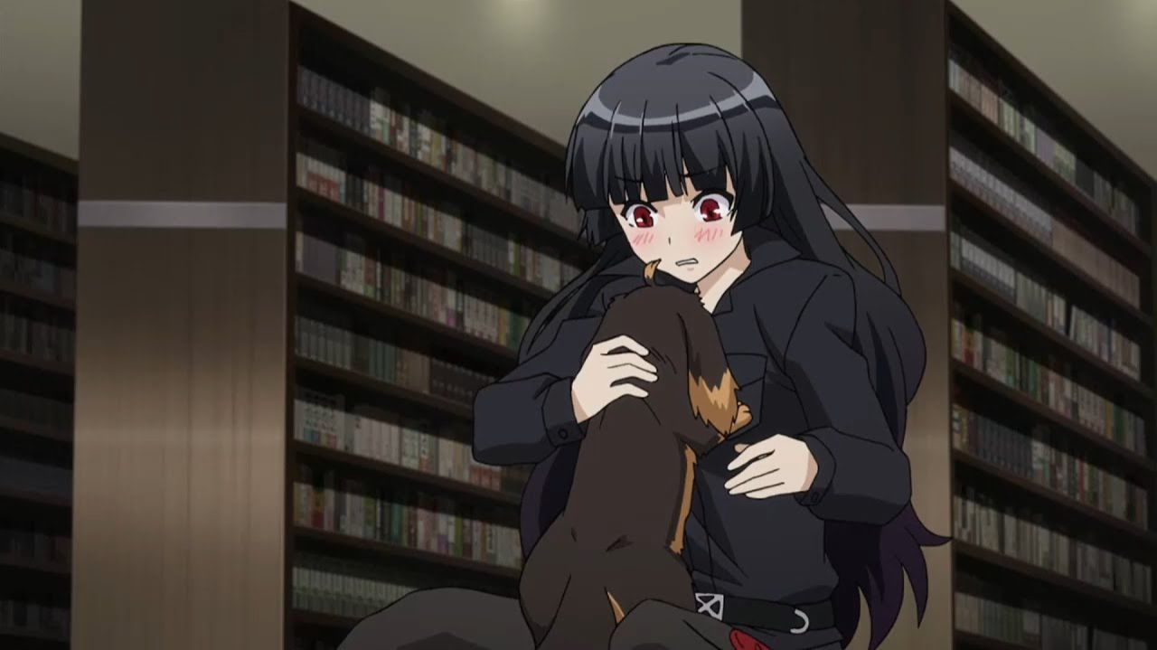 Ищейка нижнего белья #аниме