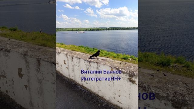 Ритмы внутреннего шара