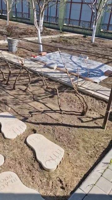 Апрель. Двор. Дела