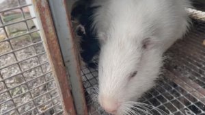 Переехали на дачу 19,04,26