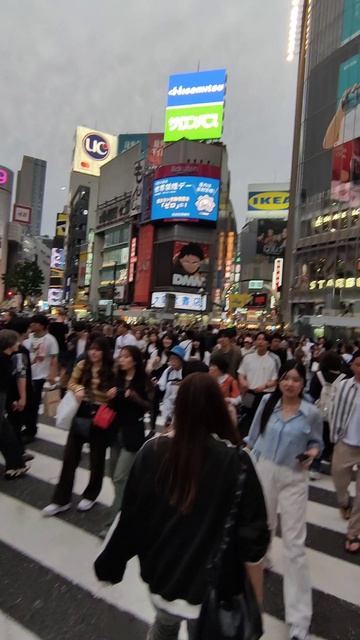 Перекресток Сибуя (Токио, Япония), Shibuya Crossing (Tokyo, Japan), 渋谷スクランブル交差点（東京都）