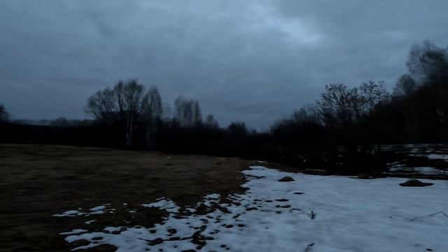 Вальдшнеп барской усадьбы с. Львовка