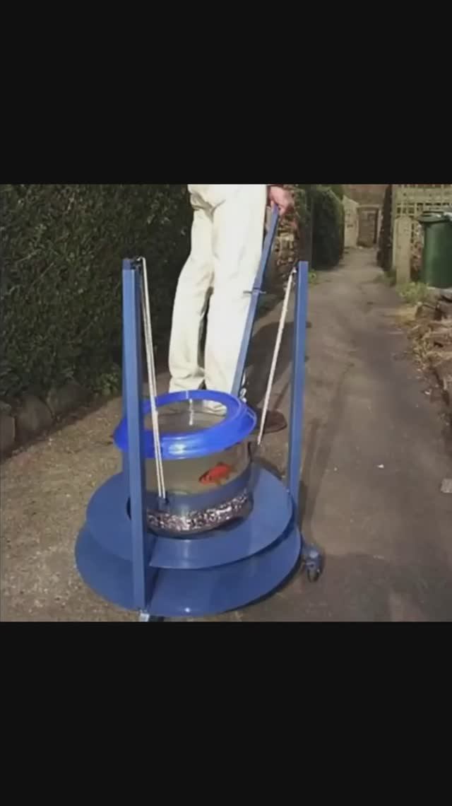 Японские приколы