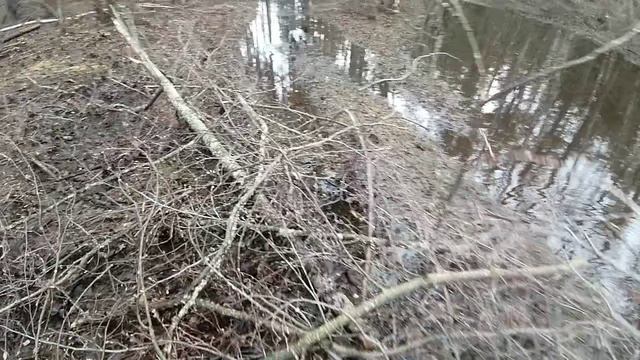 Разлив р. Серёжа дорога на Салавирь