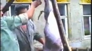 Моя родня.mp4