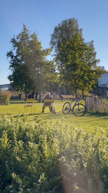 Хельсинки парк возле Центральной библиотеки
