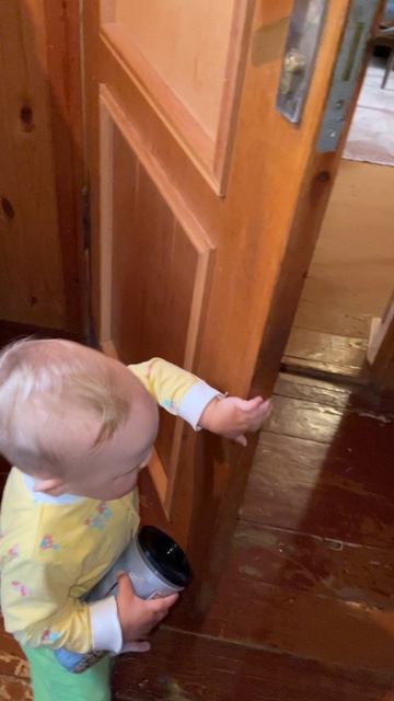 хозяин дачи июль 2022