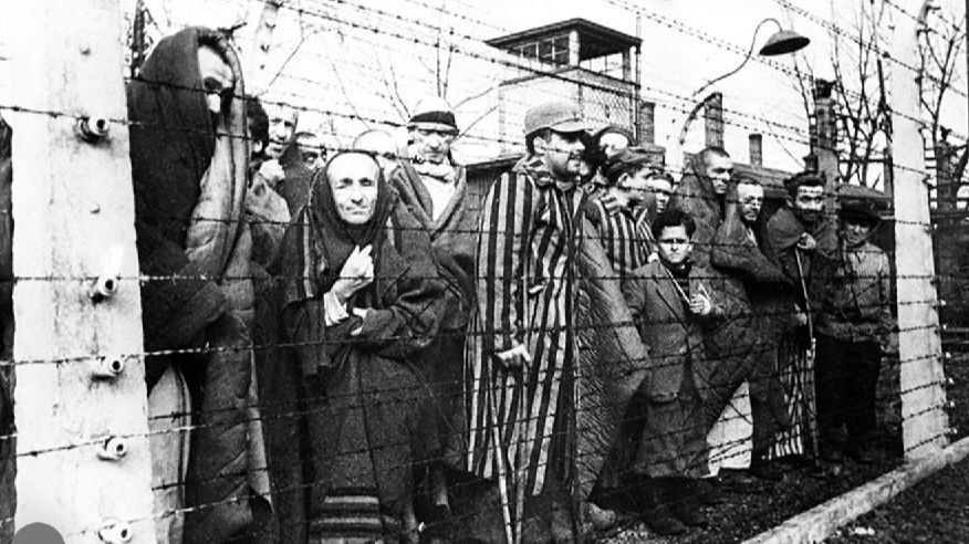 В Германии призвали правительство признать геноцид народов СССР