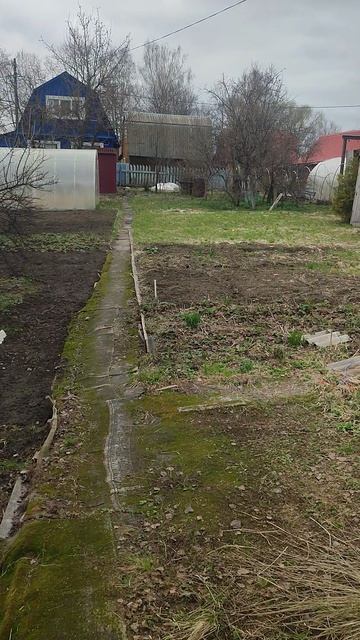 дача 55 участок