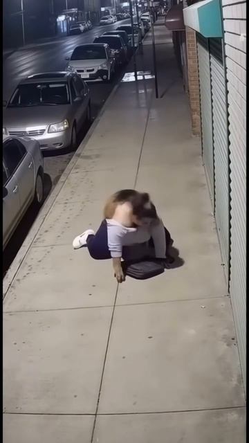 This is so well disguised its almost real!