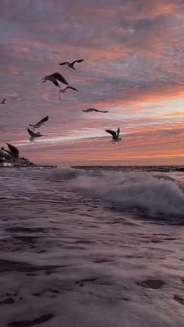 #katyboro #видеооткрытка      #рекомендации #врек #топ #врекомендации