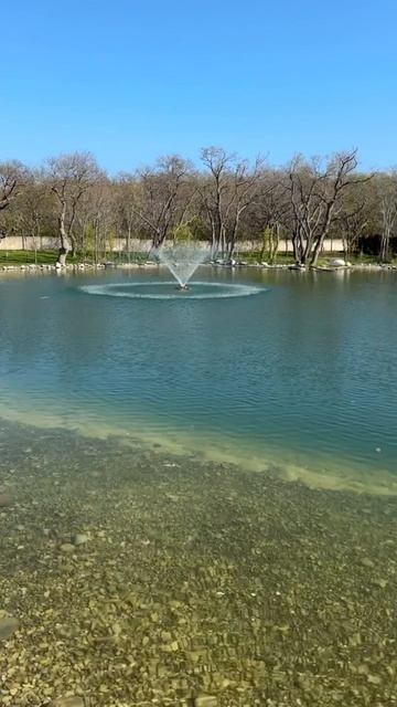 Молодежный парк в Геленджике