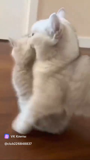 Мама и малыш