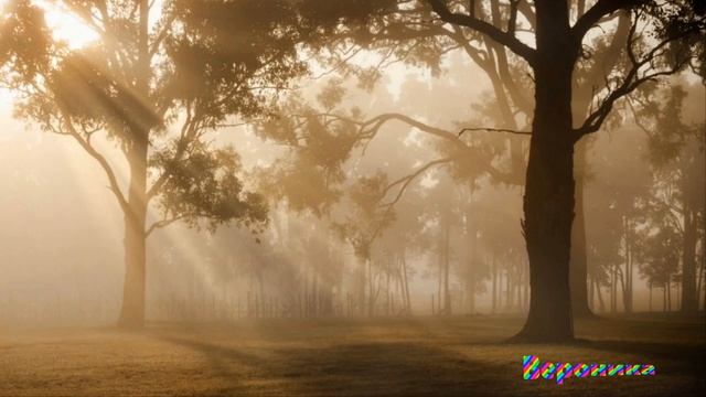 СЛУЧАЙНЫЙ СЦЕНАРИЙ  автор слов Николай Саллас музыка исполняет ИИ