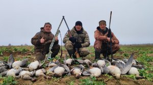 Два дня охоты на гуся. Охота на гуся 2026. Охота в Беларуси. 11 и 14.04.2026