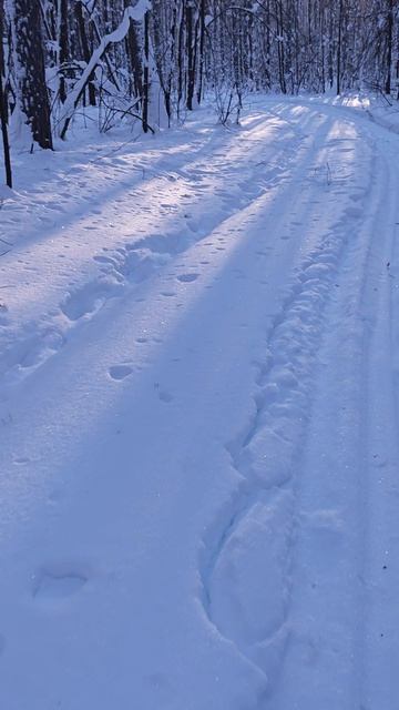 Возвращение домой после охоты