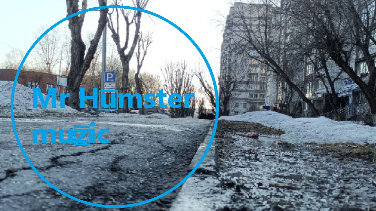 Mr Humster Muzic / Bass 36