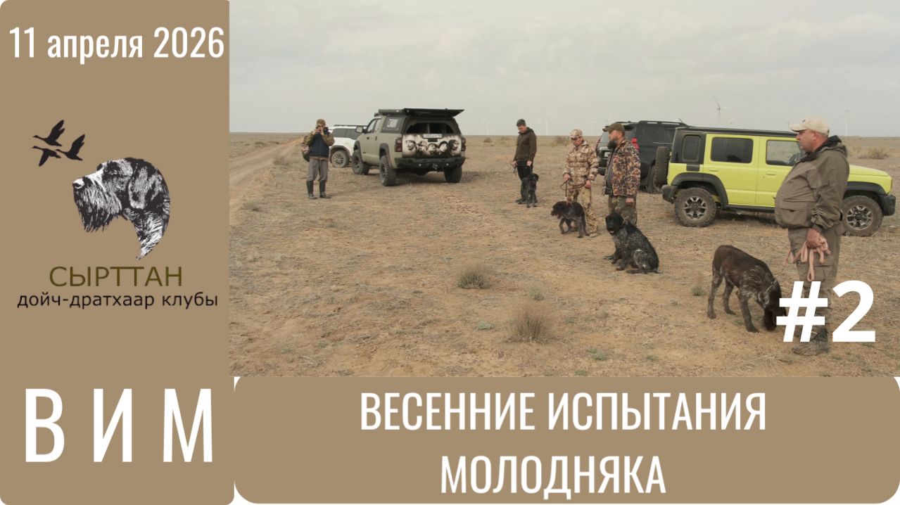 11 апреля ВИМ -Весенние испытания молодняка породы Дойч-Дратхаар
