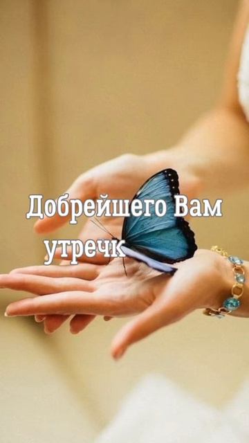 VID_20260419_123447_257.mp4