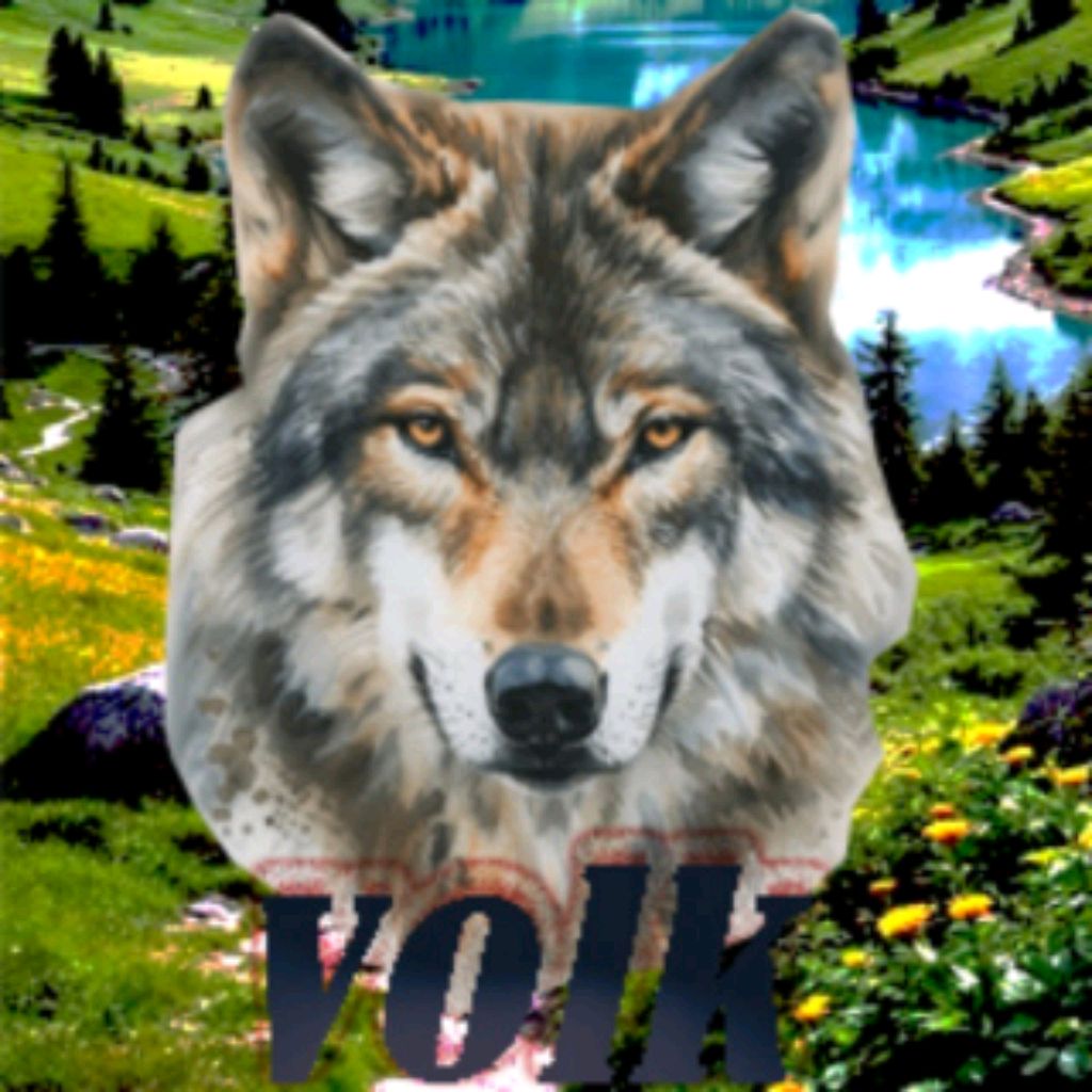 прогулка  на природе