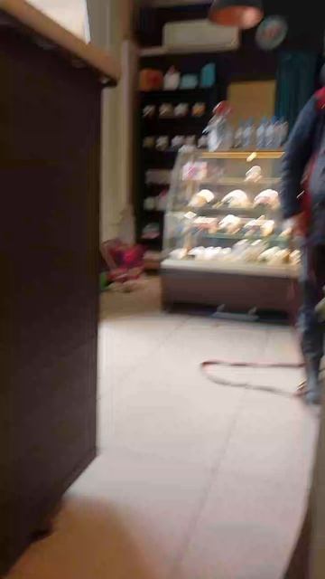 Собачка Альма в нашем городе